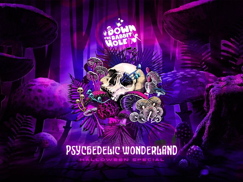 Down the Rabbit Hole – Psychedelic Wonderland