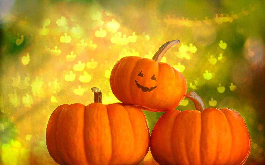 cut-halloween-pumpkin