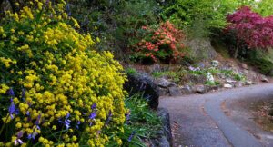 fossil-grove-victoria-park-glasgow