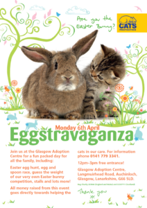 glasgow-cats-protection-easter-eggstravaganza