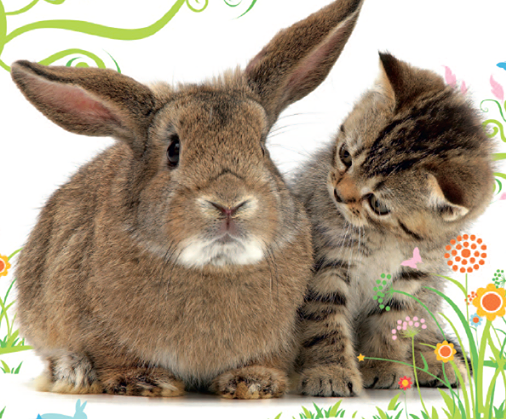 Cats Protection Easter Eggstravaganza