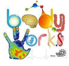 BodyWorks @ Glasgow Science Centre