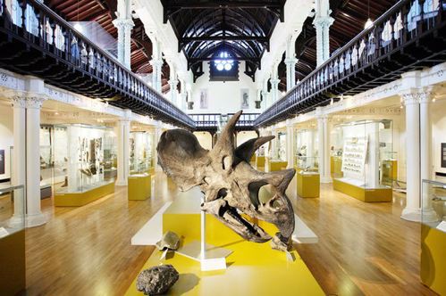 hunterian-museum-glasgow