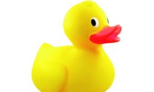 rubber-duck-race-glasgow