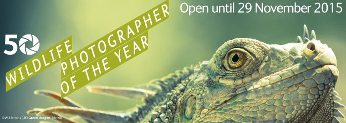 wildlife-photographer-of-the-year-2015